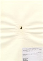 藏品(蘚狀束藻)的圖片